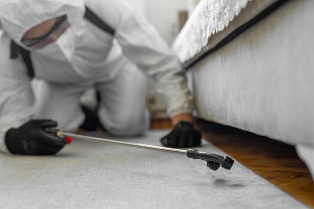 Professional Pest Control technician working in Navy, VA