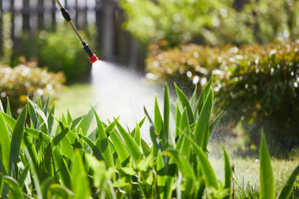 24/7 Emergency Pest Control experts in Navy, VA