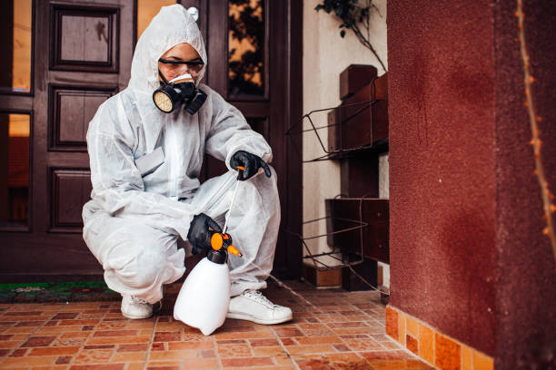Reliable Pest Control contractor in Navy, VA by Nex Pest Control