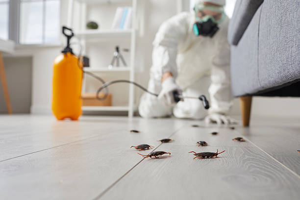 Affordable Pest Control solutions in Navy, VA